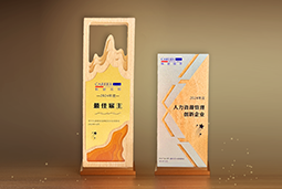 JN江南JN SPORTS国际一举斩获“2024年度中国区最佳雇主”等多项大奖